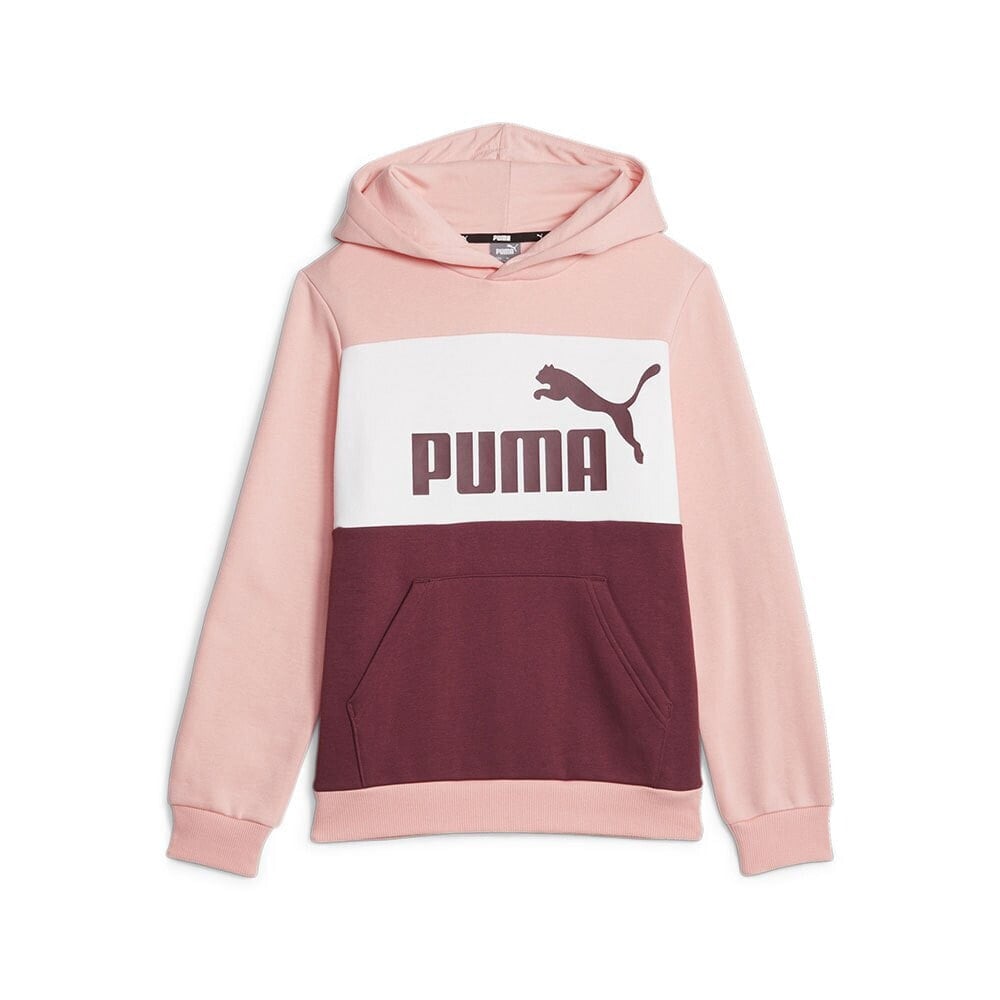 PUMA Ess Block Fl Hoodie