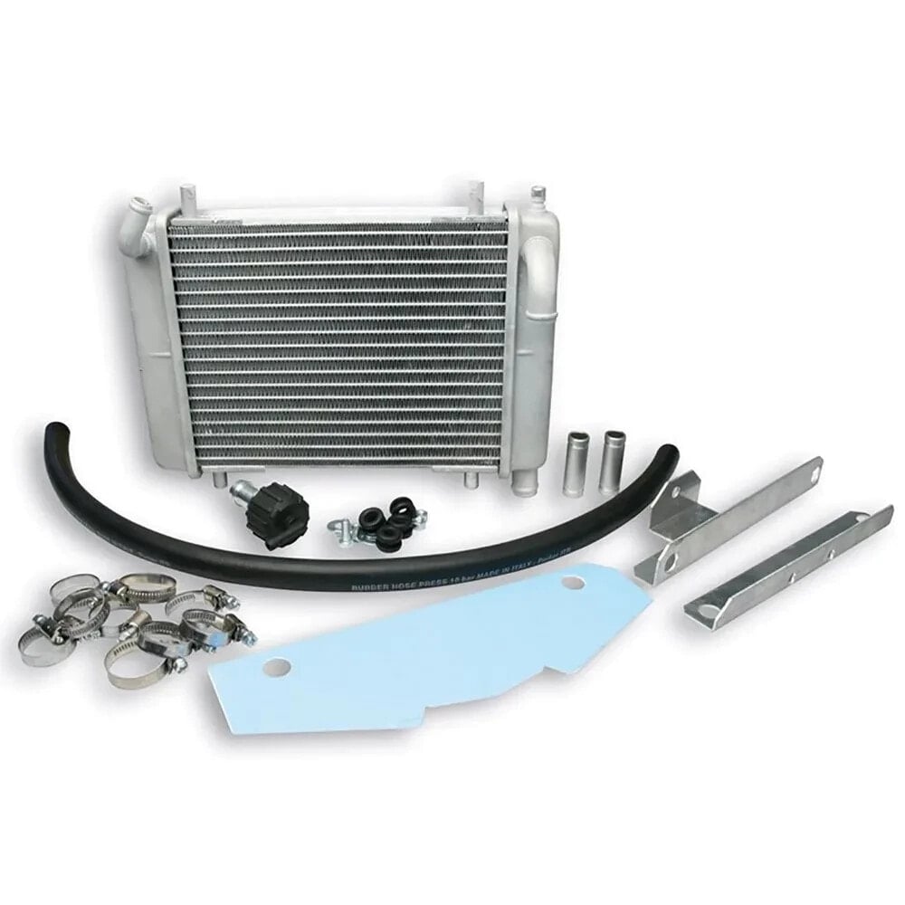 MALOSSI MHR Radiator