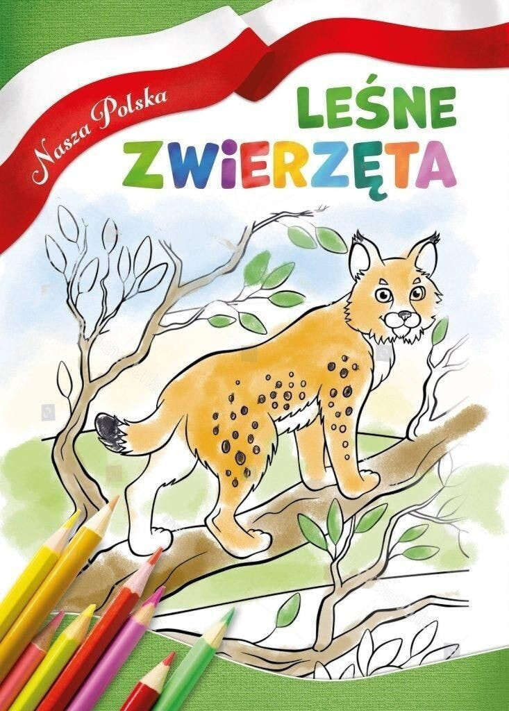 Раскраска для рисования HOTbook Nasza Polska. Leśne zwierzęta