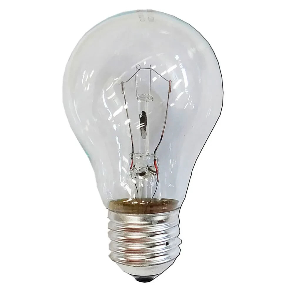 BELLIGHT Industrial Light Bulb E27 100W 1340 Lumens 2800K