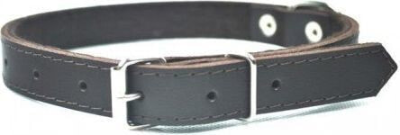CHABA LEATHER COLLAR 25mm / 65cm BROWN