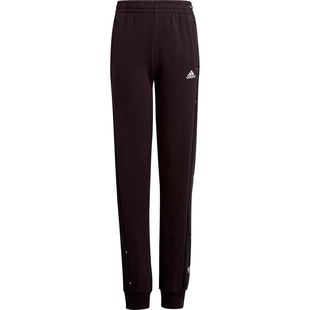 ADIDAS Bluv Q1 Pants