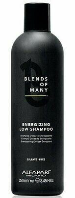 Apm Blends Of Many Energ.Low Shampoo