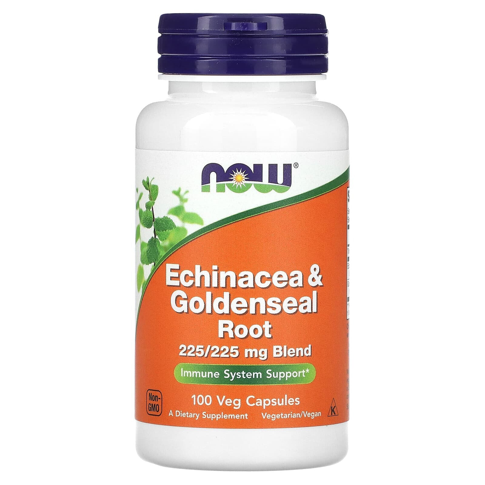 Echinacea & Goldenseal Root, 225 mg, 100 Veg Capsules (225 mg per Capsule)