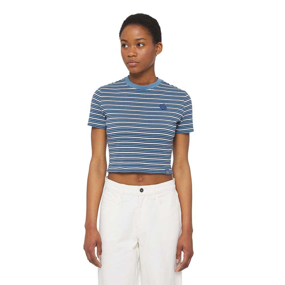 DICKIES Altoona Stripe Short Sleeve T-Shirt