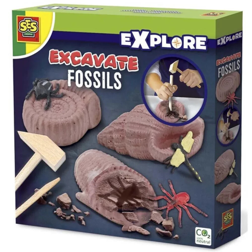 SES CREATIVE Explore excavate fossils