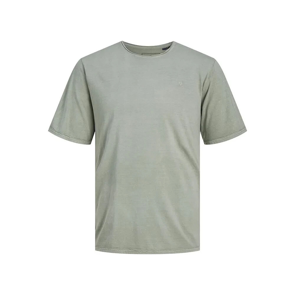 JACK & JONES Blurydes Short Sleeve T-Shirt