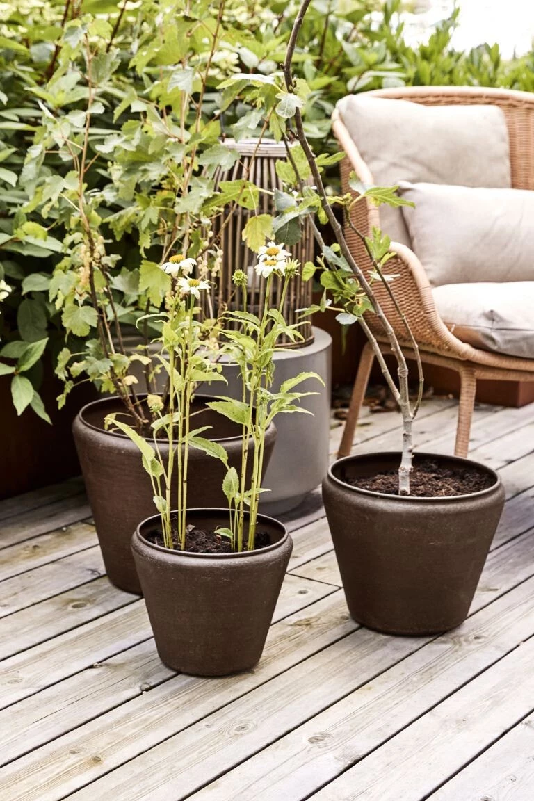Blumentopf Hdfunnel