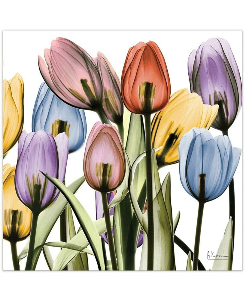Empire Art Direct tulip Scape x-ray II Frameless Free Floating Tempered Glass Panel Graphic Wall Art, 24