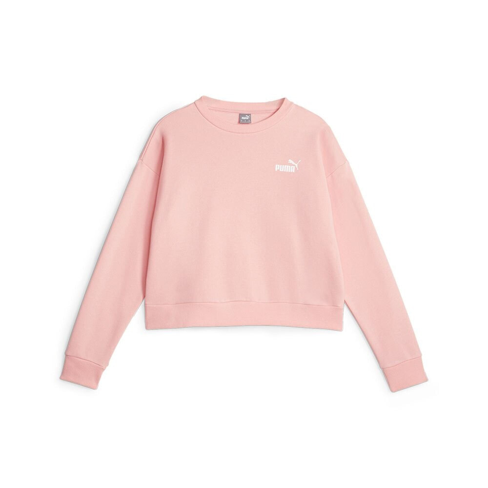 PUMA Ess+ Relaxed Small L Sweatshirt