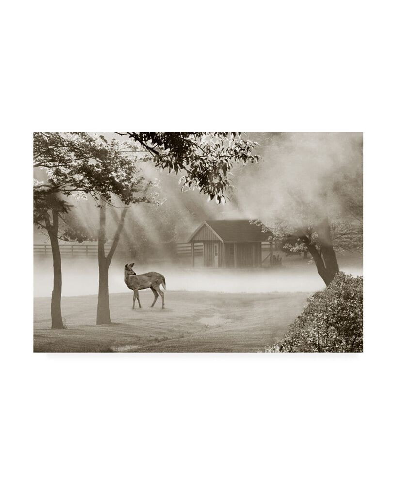 Trademark Global monte Nagler Deer in Morning Mist Canvas Art - 15