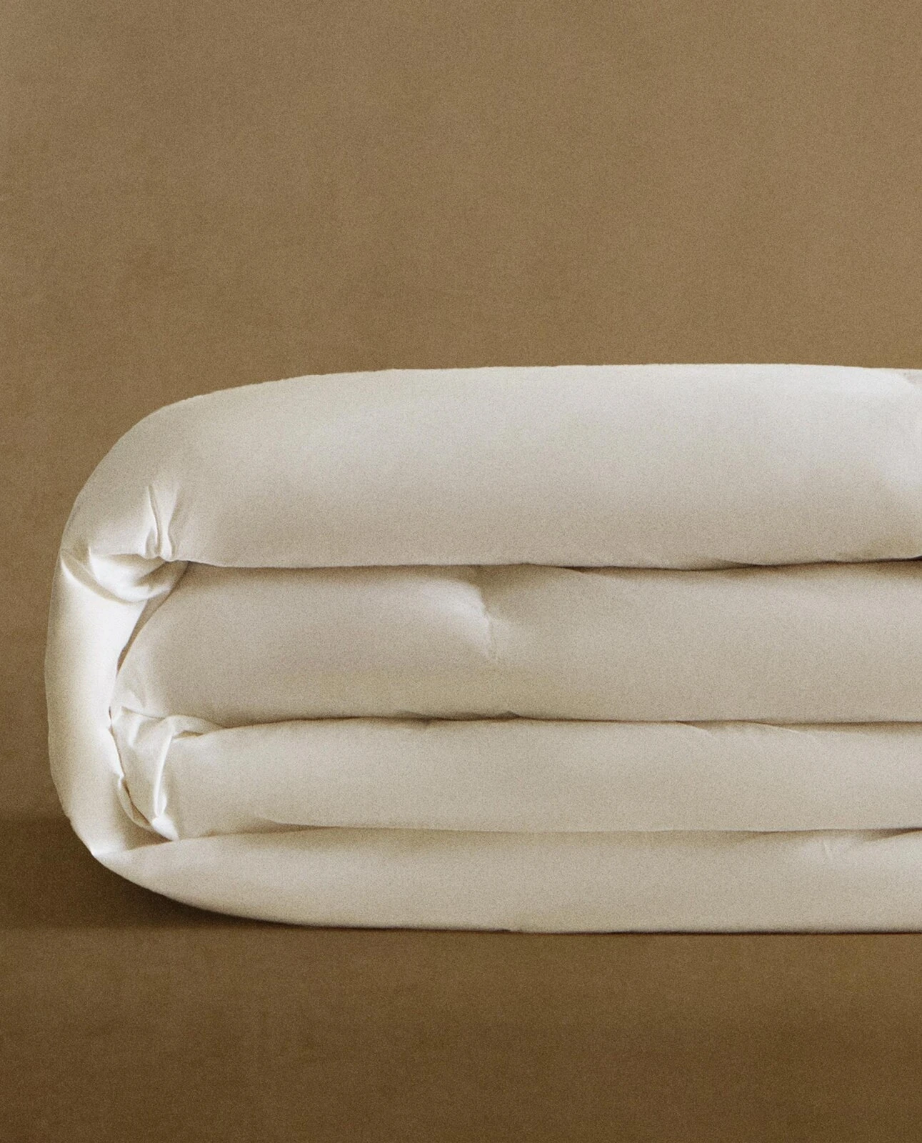 (170 gxm²) down duvet