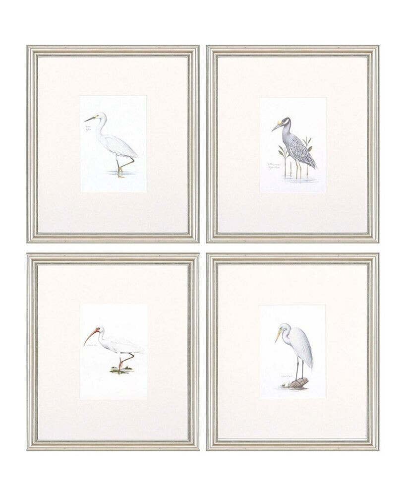 Paragon Picture Gallery paragon Egrets Framed Wall Art Set of 4, 15