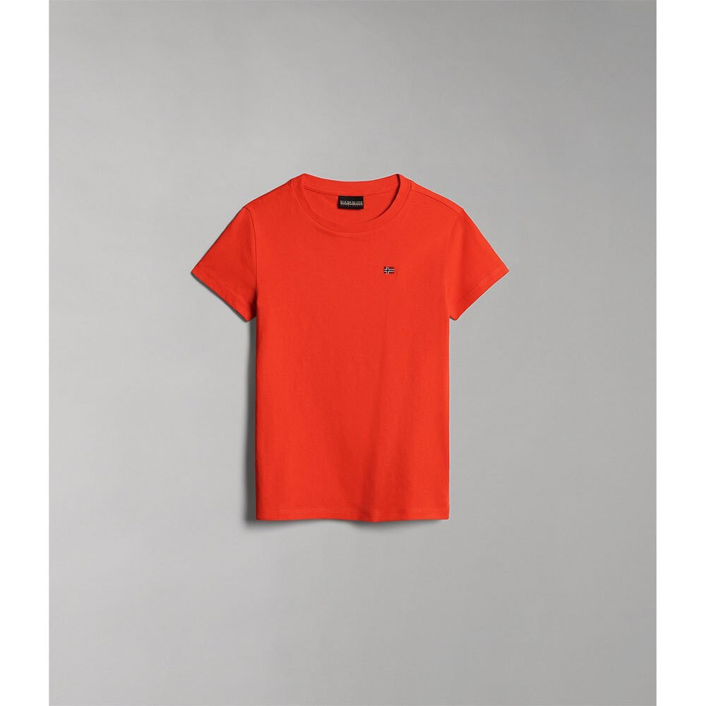 NAPAPIJRI Salis 2 Short Sleeve T-Shirt