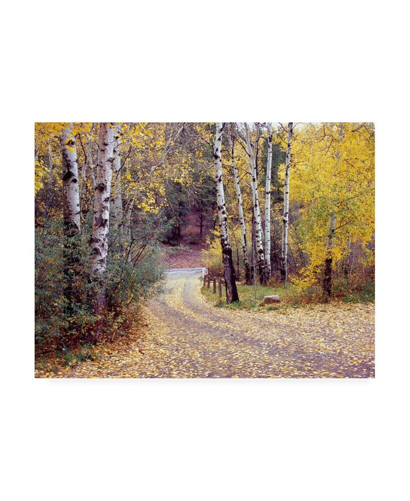 Trademark Global monte Nagler Birch Tree Drive Fence and Road Santa Fe New Mexico Canvas Art - 20