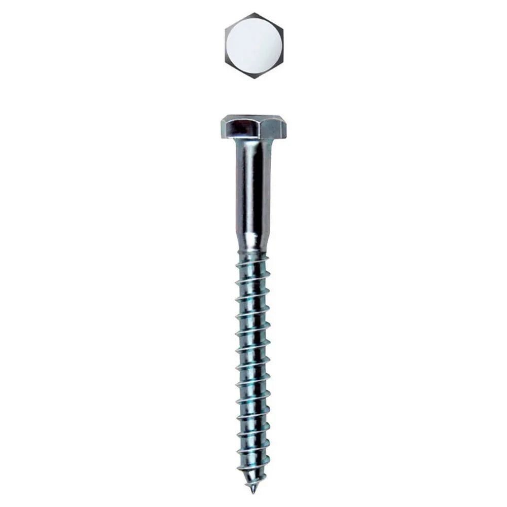 CELO 571 6x60 Hexagonal Lag Screw 75 Units