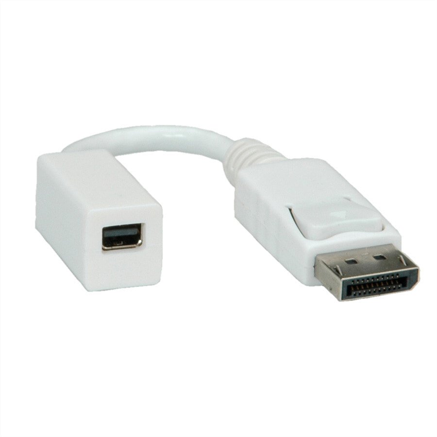 ROLINE DisplayPort Adapter, DP M - Mini DP F Белый 12.03.3132