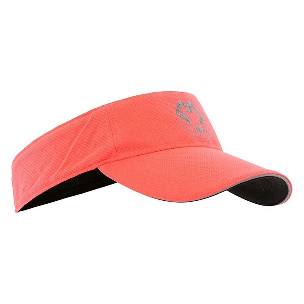 ARCH MAX Visor