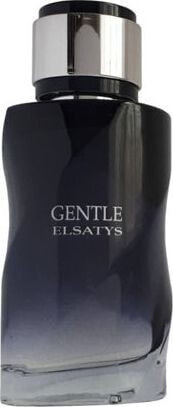 Парфюмерная вода для мужчин Reyane Tradition Gentle Elsatys EDP 100 ml