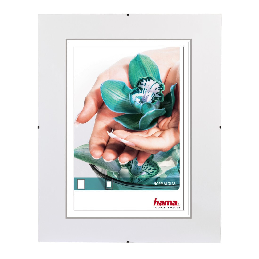 Hama Clip-Fix Прозрачный Рама для одной картины 00063010