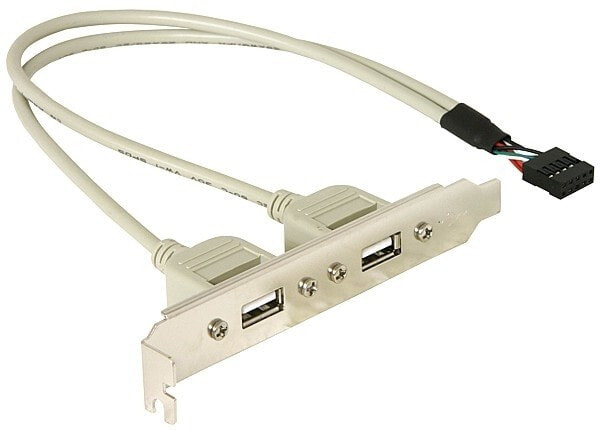 DeLOCK Slotbracket 1x internal USB 5pin > 2x USB2.0 external USB кабель 0,3 m USB A Белый 71000