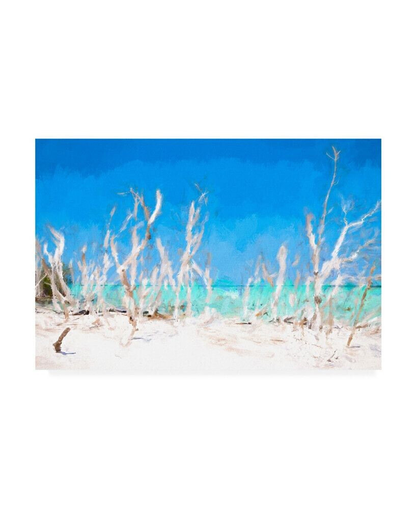 Trademark Global philippe Hugonnard White Forest Lining Canvas Art - 15.5