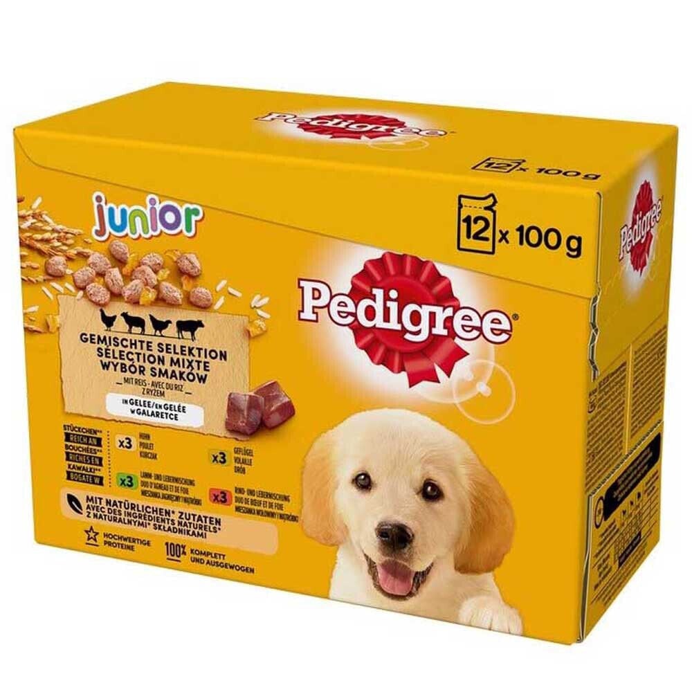 PEDIGREE Junior Selection Mix 12x100g Wet Dog Food