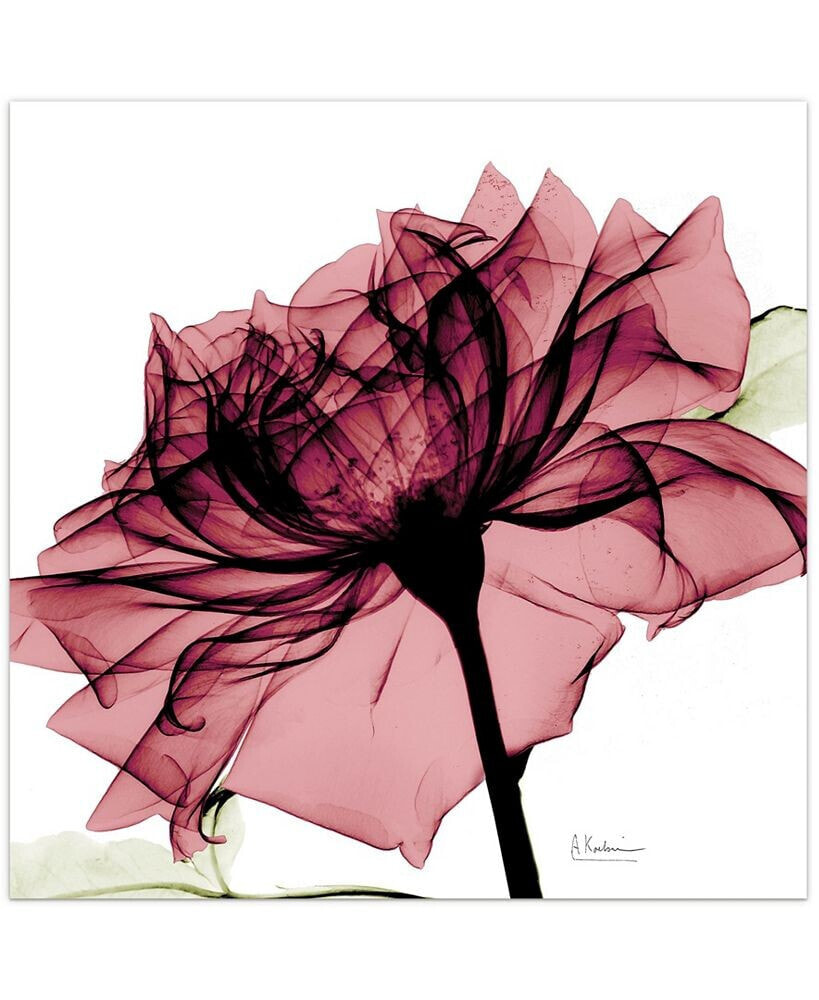 Empire Art Direct chianti Rose I Frameless Free Floating Tempered Glass Panel Graphic Wall Art, 24