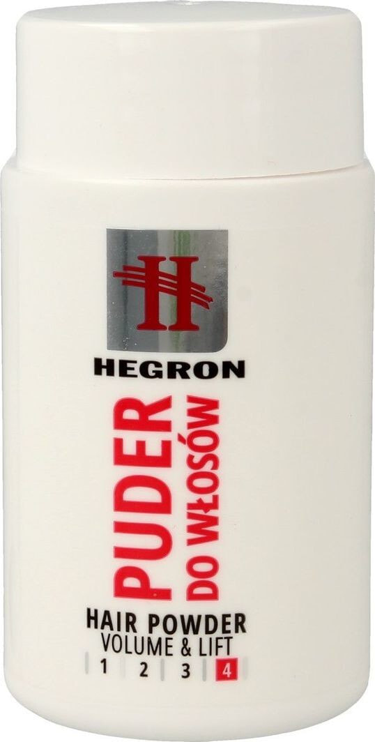 Лак или спрей для укладки волос Hegron Styling Puder do modelowania włosów 10g