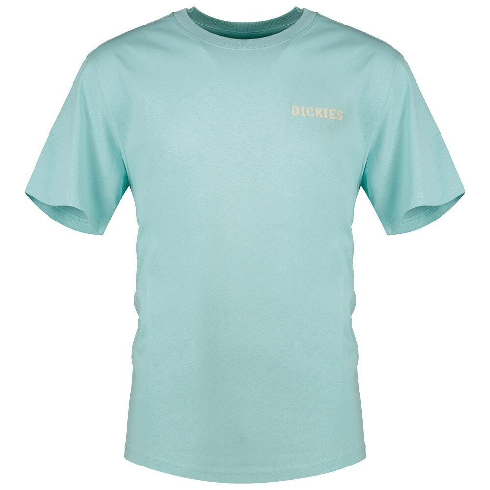 DICKIES Hays Short Sleeve T-Shirt
