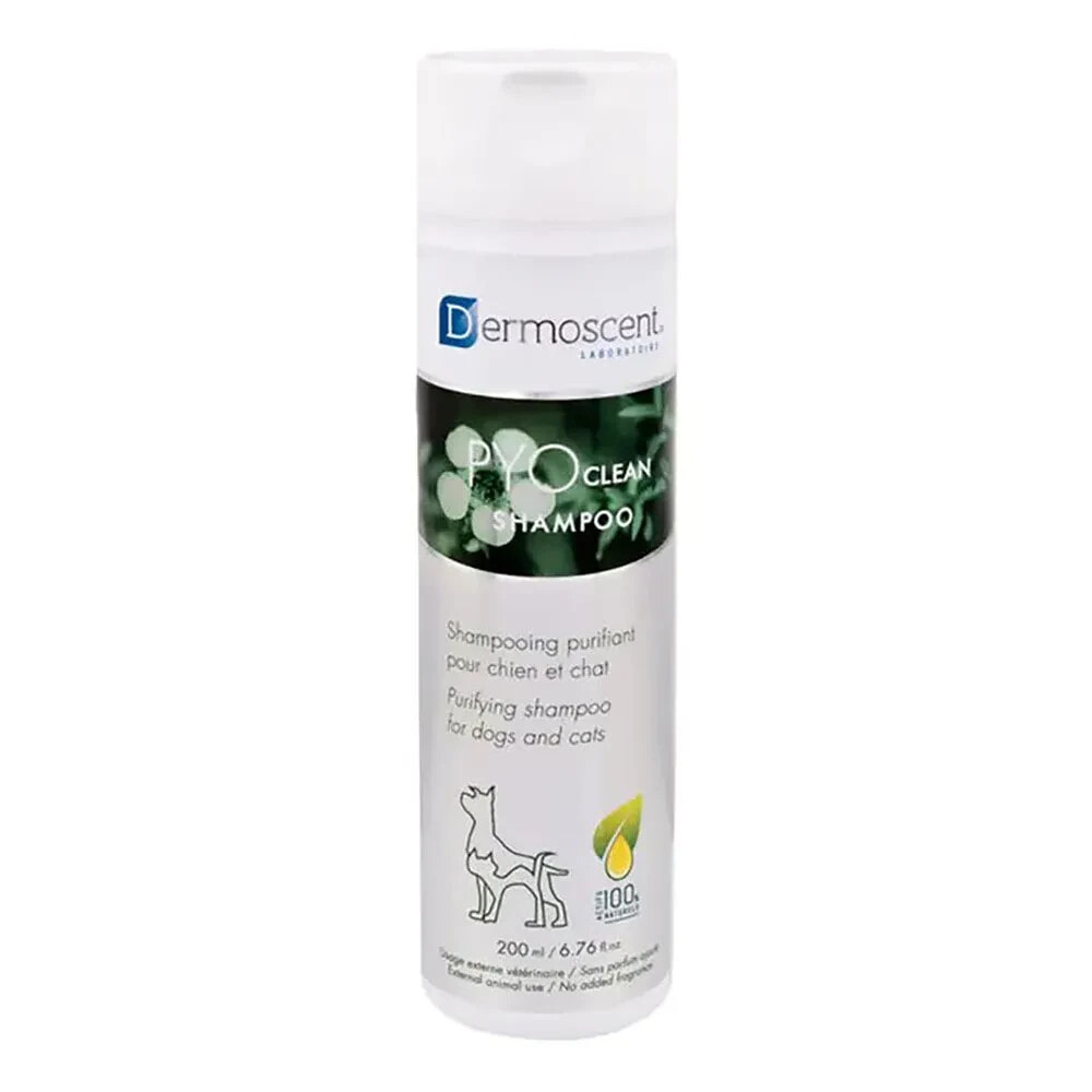 DERMOSCENT Pyoclean 200ml Shampoo