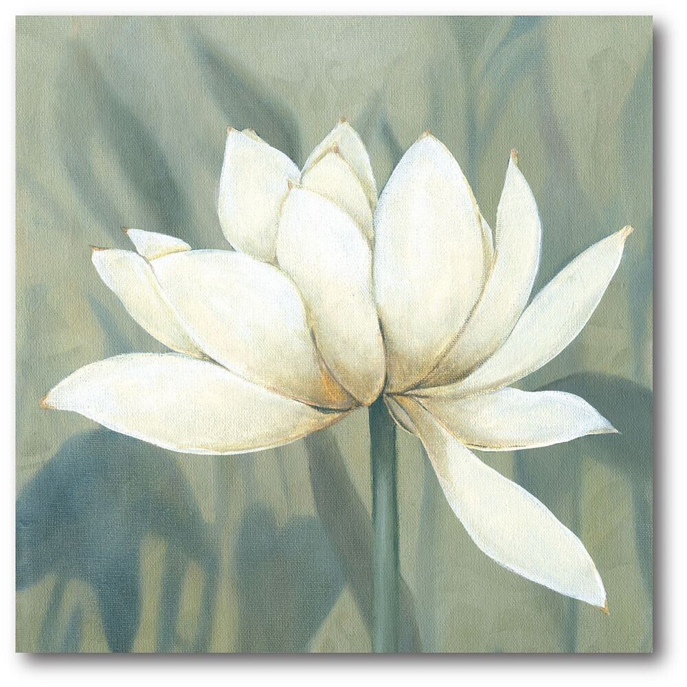 Courtside Market waterlily II Gallery-Wrapped Canvas Wall Art - 16