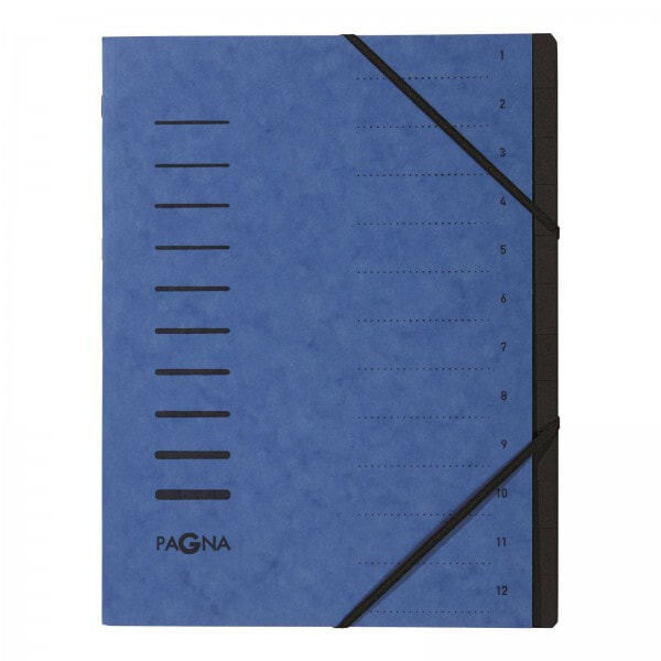Pagna 40059-02 папка A4 Синий