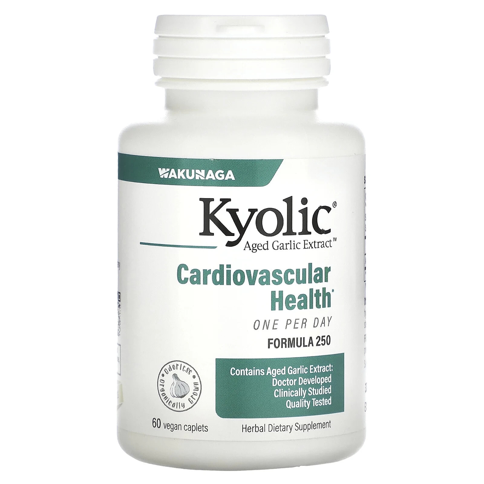 Kyolic, экстракт выдержанного чеснока, один раз в день, для сердечно-сосудистой системы, 1000 мг, 30 капсул