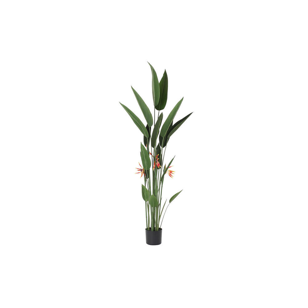 Декоративное растение DKD Home Decor 75 x 75 x 180 cm Оранжевый Зеленый Жёлтый полипропилен Стрелиция королевская