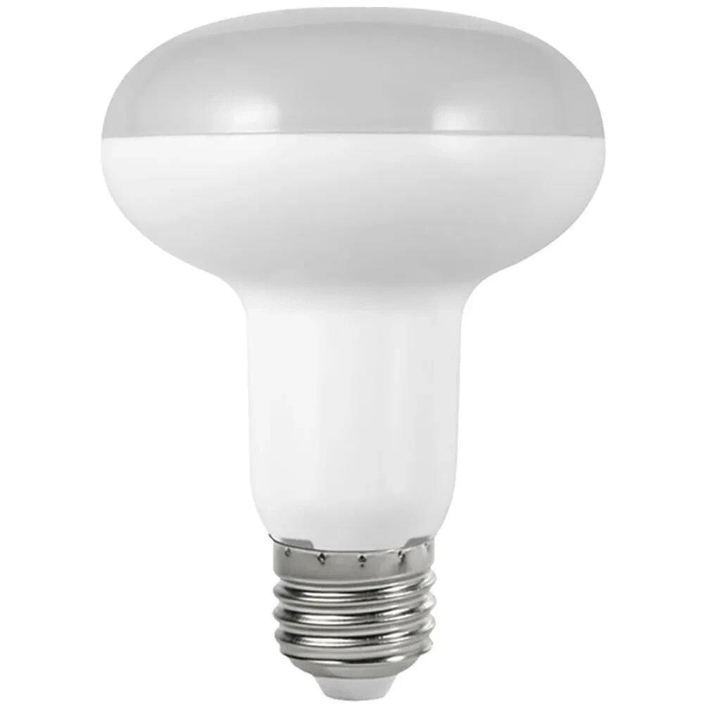 HEPOLUZ R80 E27 13W 6000K LED Bulb