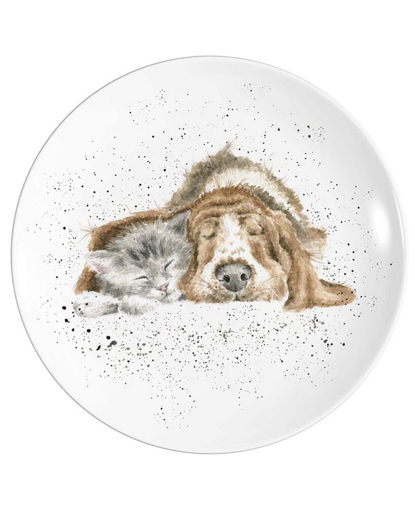 Wrendale Designs royal Worcester Coupe Plate - Dog And Catnap