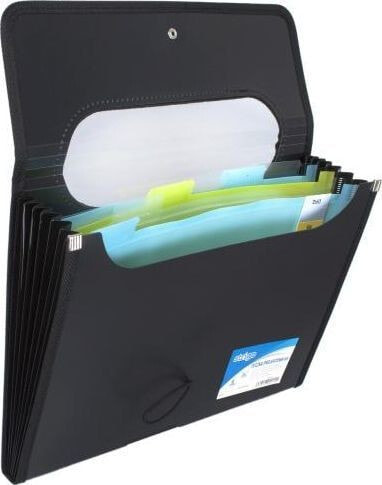 Strigo Briefcase A4 with 6 dividers V-file black