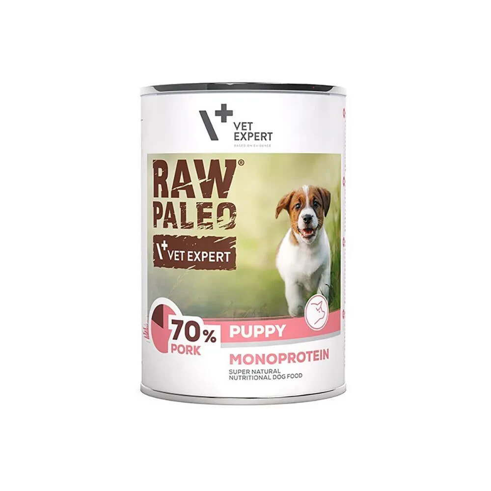 RAW PALEO Monoprotein pork wet dog food 400g