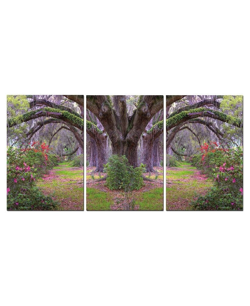 Chic Home decor Lavender Cherry 3 Piece Wrapped Canvas Wall Art Garden -27