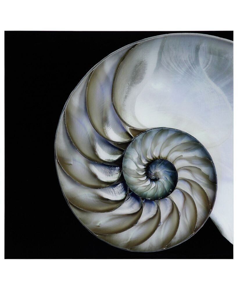 Empire Art Direct pearly Nautilus Frameless Free Floating Tempered Glass Panel Graphic Wall Art, 36