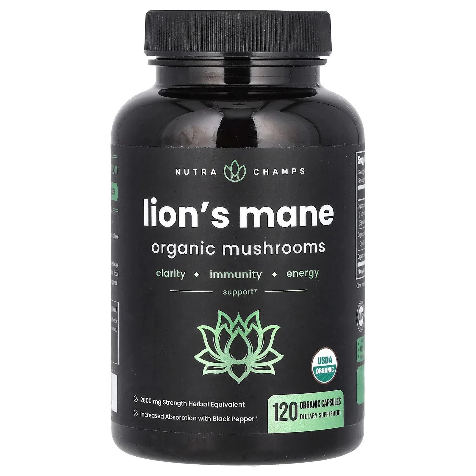 Lion's Mane, 120 Organic Capsules