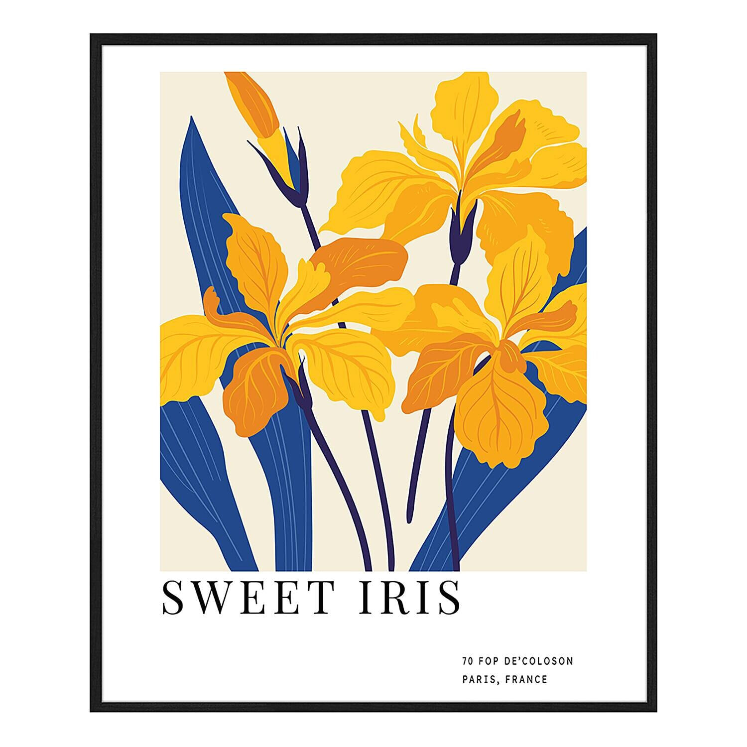 Bild Sweet Iris