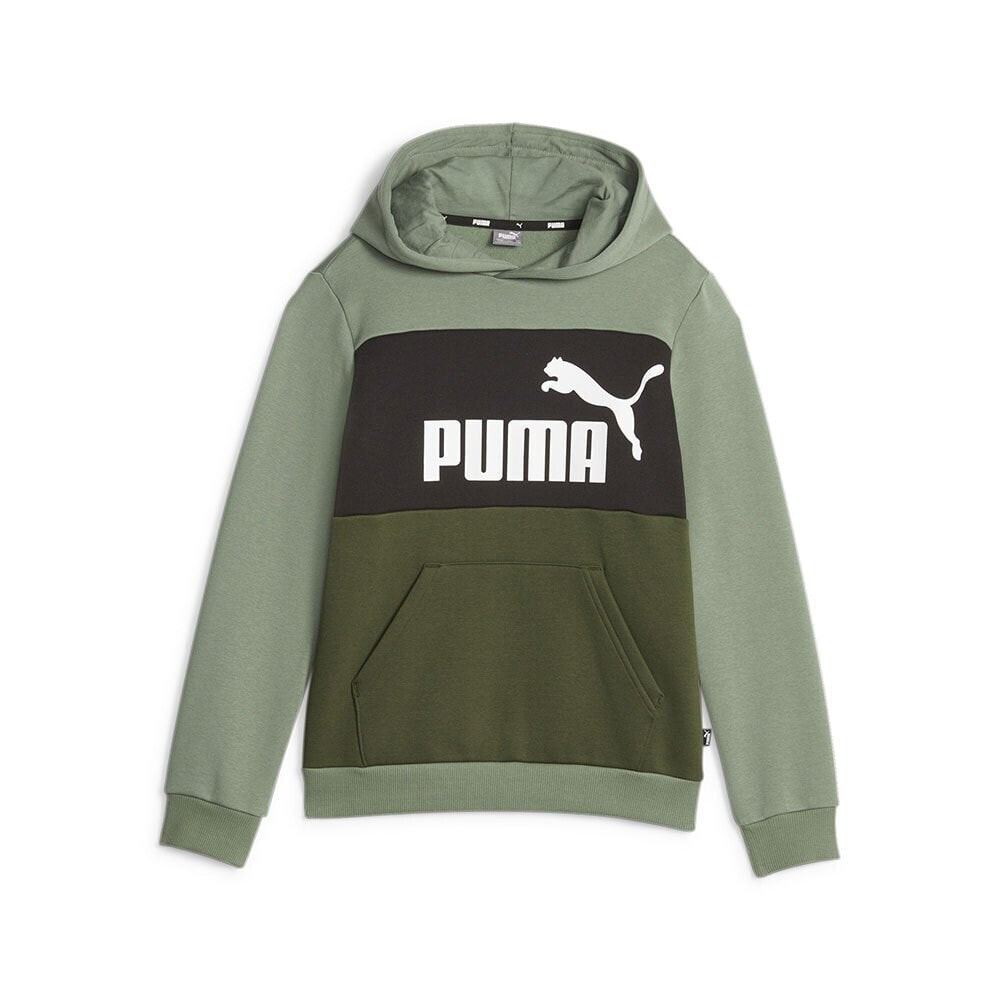 PUMA Ess Block Fl Hoodie