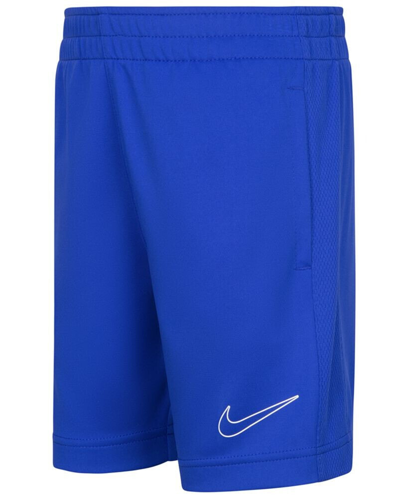 Nike little Boys Dri-FIT Academy Shorts