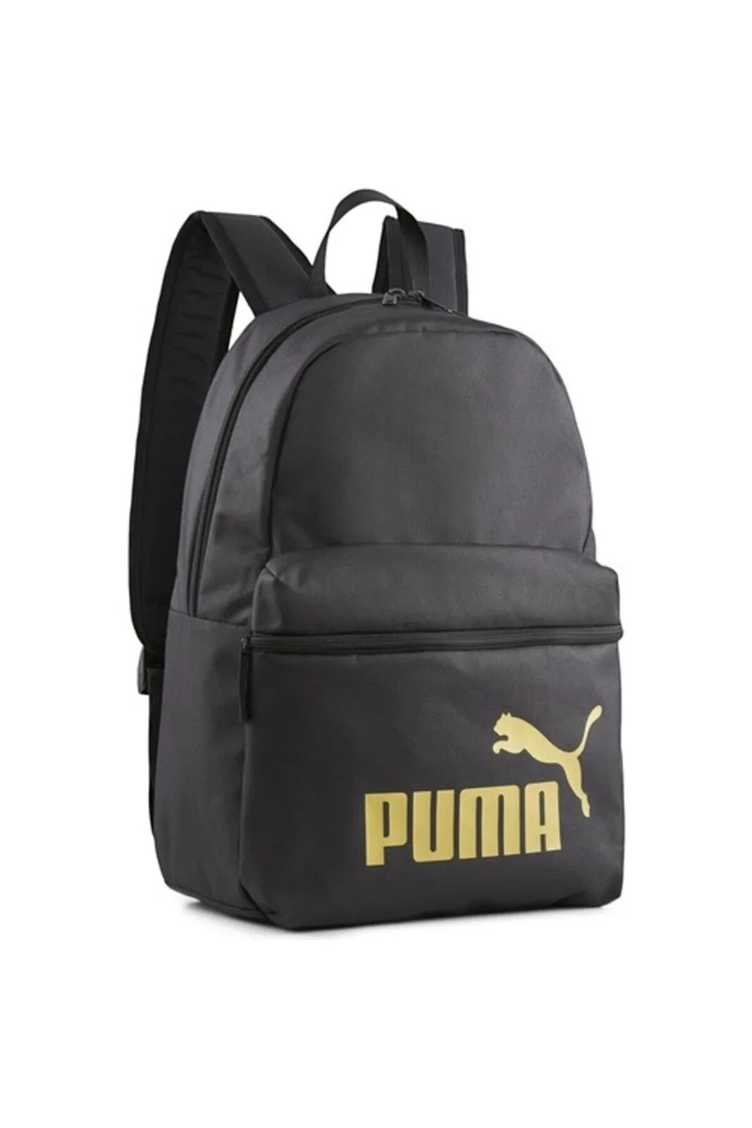 Phase Backpack Unisex Sırt Çantası 07994303