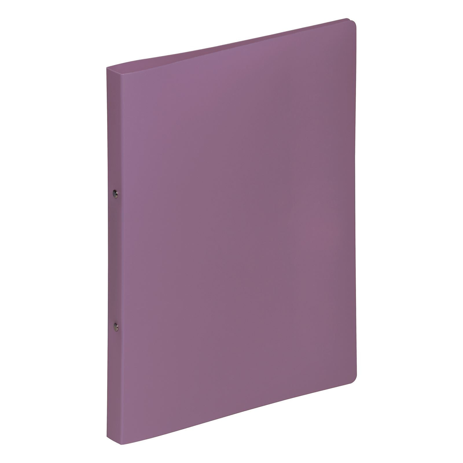 Pagna 20901-12 папка-регистратор A4 Фиолетовый