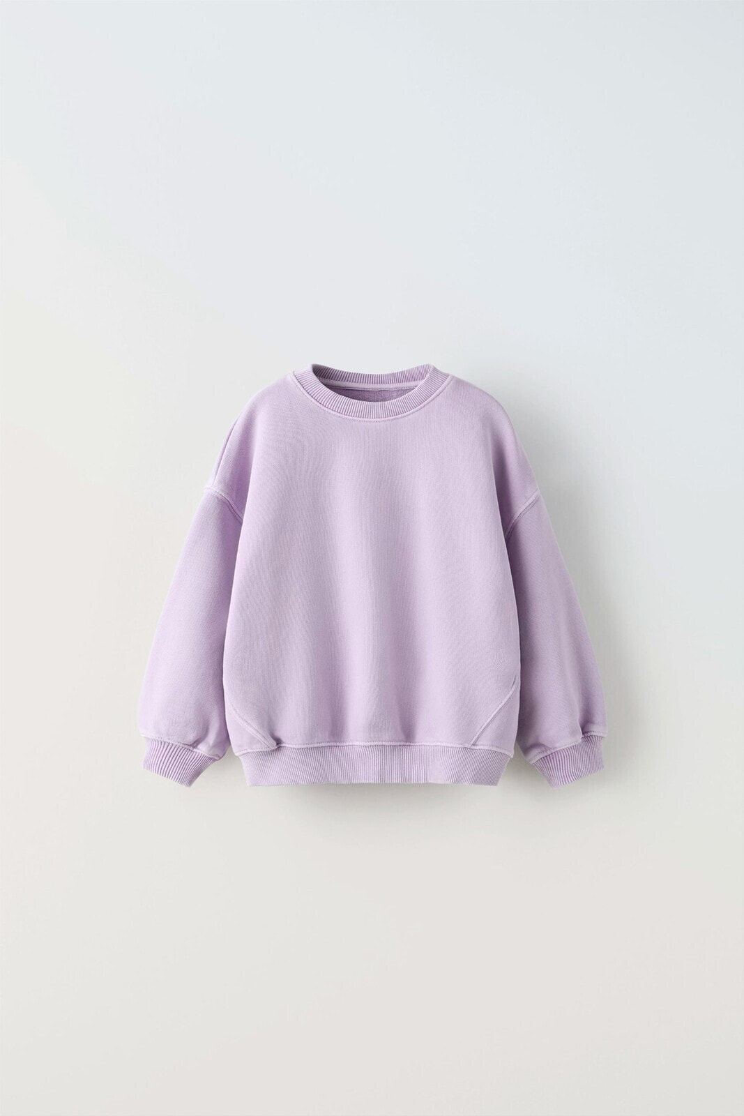 Garment-dyed embroidered sweatshirt