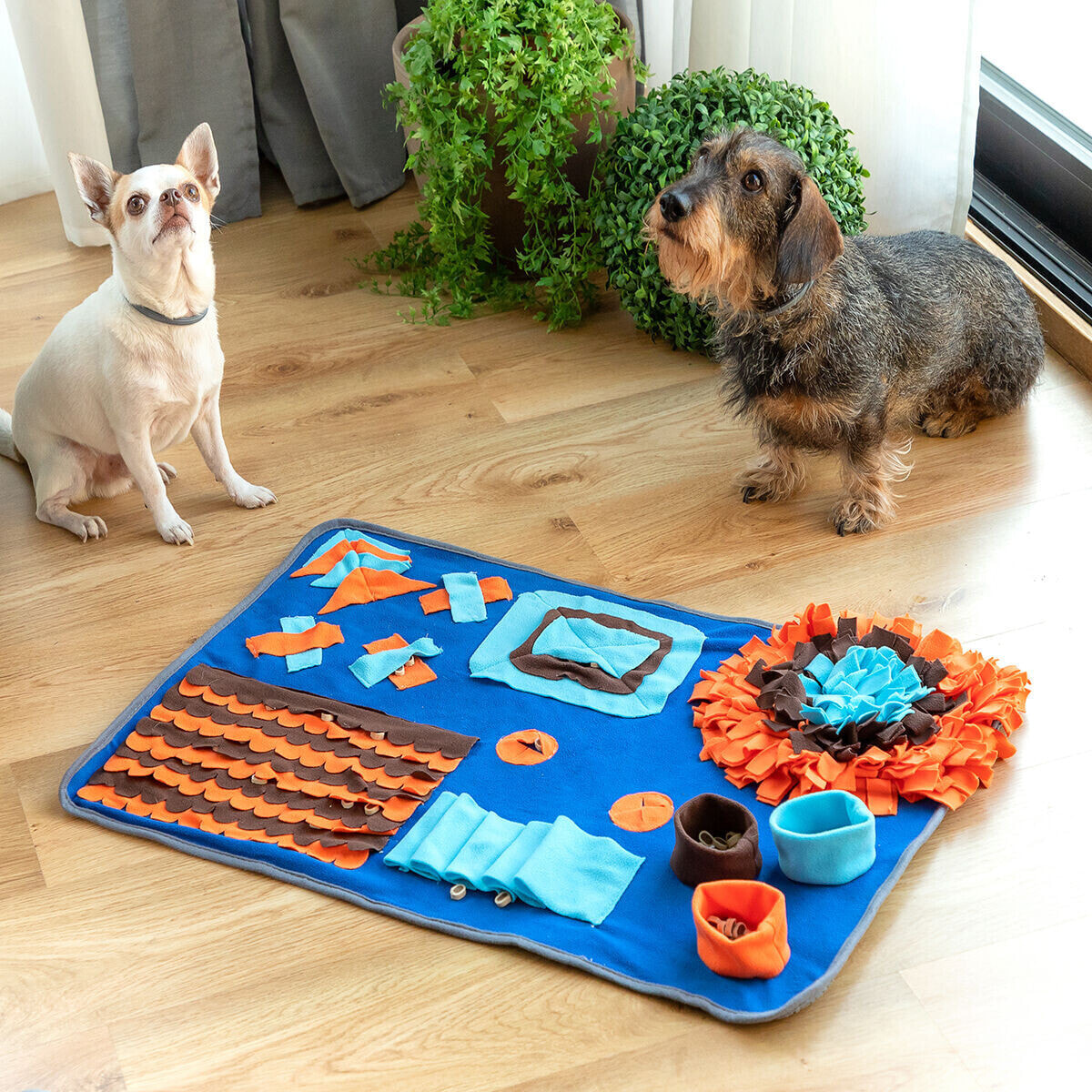 Sniffing Mat for Pets Foopark InnovaGoods