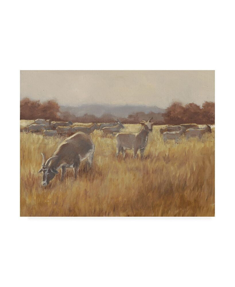 Trademark Global ethan Harper Grazing Goats II Canvas Art - 20